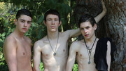 Skinny boys please each other in outdoor anal threesome