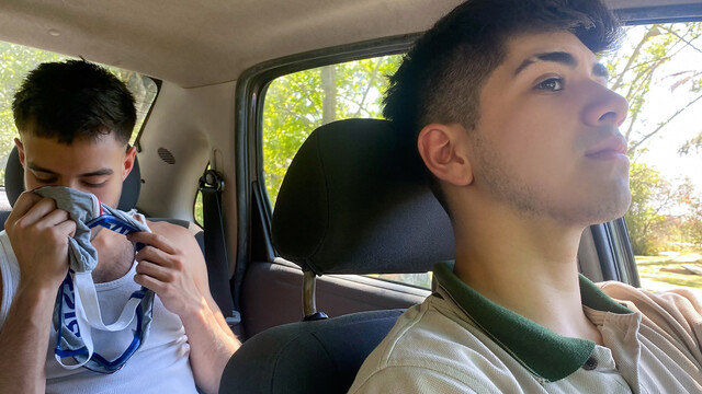 Undies sniffing passenger gets dicked down