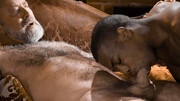 Interracial pleasures with two horny fuckers
