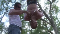 He is hanging upside down in the middle of the forest