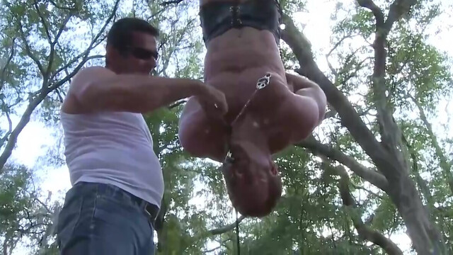 He is hanging upside down in the middle of the forest