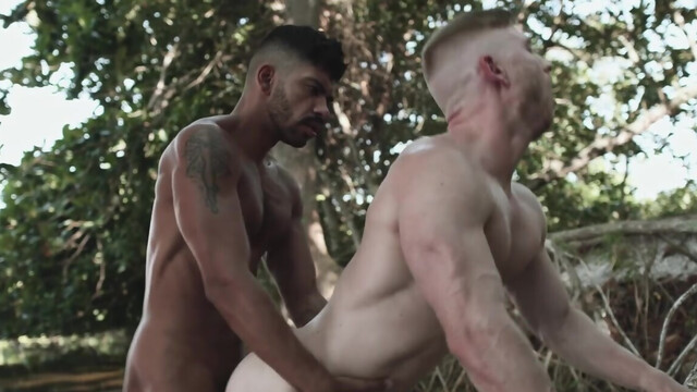 Gael and Matt Ellis are fucking hard in the jugnle