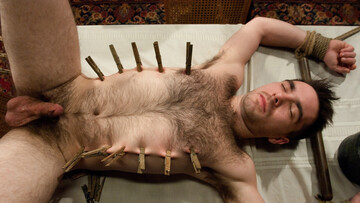 Hairy man has lots of clips on his body while he is bound