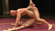 Professional wrestlers are naked and grappling with intensity