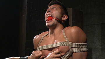 Ropes and clothespins can do wonders for a horny cub